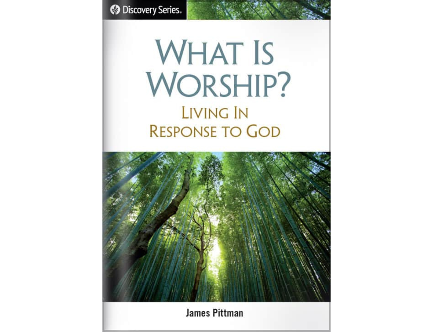 What Is Worship Living In Response To God Our Daily Bread Ministries What is worship living in response to god our daily bread ministries